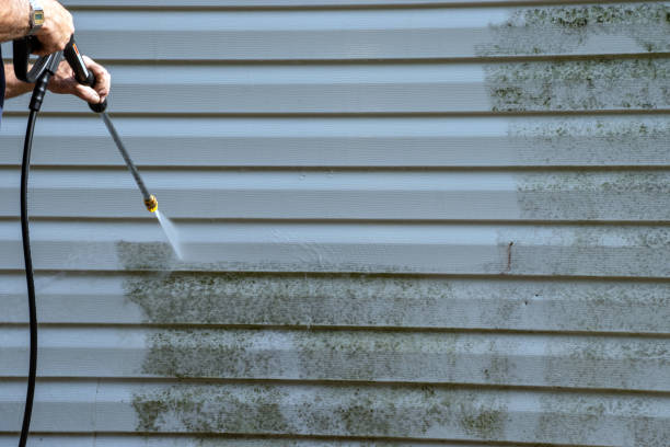 Best Shed Removal  in Massapequa, NY